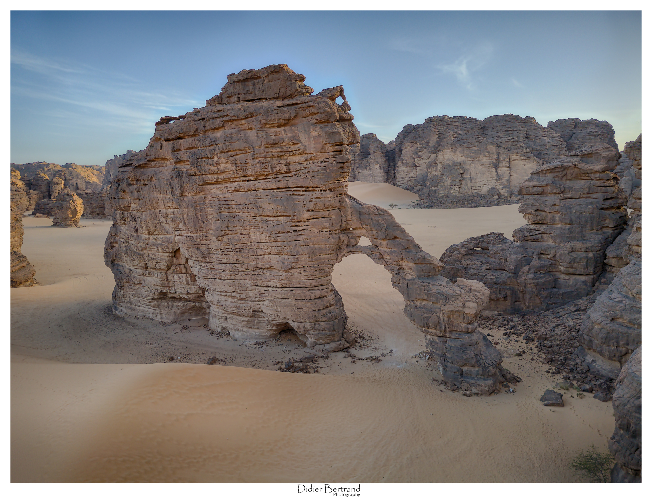 Sahara Algerien, Tassili 2024 - Un elephant dans le sable